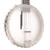 Gold Tone BB-400+ banjo bass full front angle showing 14-inch maple rim