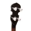 Gold Tone BG-150F banjo headstock back showing GT planetary tuners