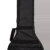 Gold Tone BG-150F banjo included Mastertone padded gig bag