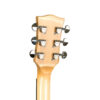 Gold Tone BT-1000 banjitar headstock close-up showing B-style buttons and ZeroGlide nut