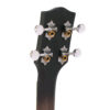 Gold Tone BUT headstock close-up showing ZeroGlide nut and gold tone logo