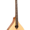Gold Tone bouzouki front view comparison image