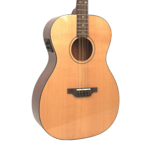 Gold Tone BZ-1000 bouzouki front body detail showing solid spruce top and black ABS binding