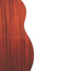 Gold Tone BZ-1000 bouzouki back view showing mahogany back and natural gloss finish