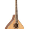 Gold Tone bouzouki family instrument front view