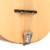 Gold Tone BZ-500/L Irish Bouzouki front view showing chrome hardware and soundhole
