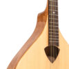 Gold Tone BZ-500 Irish bouzouki front view showing mandolin cast tailpiece and adjustable bridge