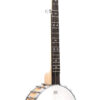 Gold Tone CB-100 clawhammer banjo full view showing high gloss vintage brown finish