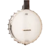 Gold Tone CB-100 open-back clawhammer banjo front angle view