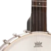 Gold Tone CB-100 clawhammer banjo front detail showing Remo Renaissance head and No Knot tailpiece