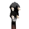 Gold Tone CB-100 headstock close-up showing ZeroGlide nut and planetary gear tuners