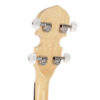 Gold Tone CC-100R banjo headstock detail showing curly maple veneer and ZeroGlide nut