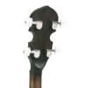 Gold Tone CC-50RP/L headstock close-up showing geared fifth-string tuning peg and guitar-style buttons