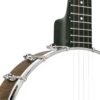 Gold Tone CC-50 Cripple Creek banjo neck heel and tension hoop closeup