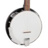 Gold Tone CC-50RP Cripple Creek resonator banjo pot and Terminator tailpiece closeup