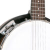 Gold Tone CC-BG 5-string resonator banjo front view showing Remo coated head and tone ring