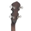 Gold Tone CC-BG left-handed banjo headstock close-up showing B-style buttons