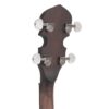 Gold Tone CC-BG Cripple Creek banjo headstock back showing planetary tuners
