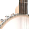 Gold Tone CC-Carlin12/L left-handed banjo front view highlighting vintage tailpiece and 24-bracket rim