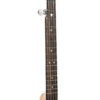 Gold Tone CC-Carlin12/L maple neck with scooped rosewood fretboard and dot and star inlays