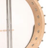 Gold Tone CC-Carlin12/L back view showing multi-ply maple rim and dual coordinator rods