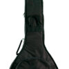 Gold Tone CC-Carlin12/L included gig bag, padded and ready for transport