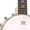 Gold Tone CC-Mini banjo front close-up showing No-Knot tailpiece and bridge