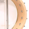 Gold Tone CC-Mini banjo back view showing maple rim and coordinator rod