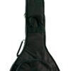 Gold Tone CC-OT/L left-handed clawhammer banjo package with included gig bag