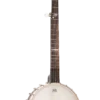 Gold Tone CB-100 open-back banjo front view — related model comparison