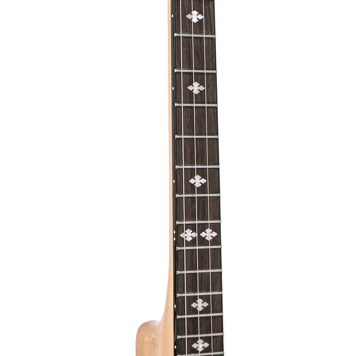 Gold Tone CC-Tenor tenor banjo neck close-up showing rosewood fingerboard and snowflake inlays
