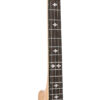 Gold Tone CC-Tenor/L left-handed tenor banjo neck detail showing snowflake inlays and ZeroGlide nut