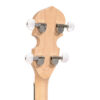 Gold Tone CC-Tenor/L headstock detail showing Gold Tone logo and chrome sealed tuners