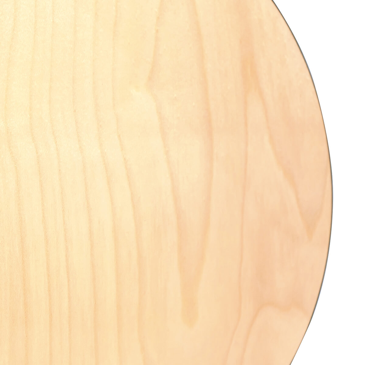 Gold Tone CC-Tenor tenor banjo back view showing 13-inch maple resonator