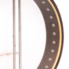 Gold Tone CEB-4/L cello banjo back view showing multi-ply maple rim and dual coordinator rods