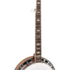 Gold Tone CEB-5 cello banjo alternate front view