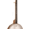 Gold Tone CEB-5 cello banjo product image
