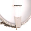 Gold Tone CEB-5 cello banjo full front view with Remo Renaissance head