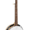 Gold Tone EB-5 electric banjo additional finish option front view