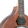 Gold Tone EB-5 Electric Banjo front close-up showing hardware and binding