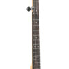 Gold Tone EB-5 neck detail showing rosewood fingerboard and dot inlays