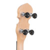 Gold Tone EB-5 headstock close-up with black tuning buttons