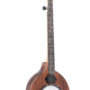 Gold Tone 5-string electric banjo front view related model
