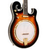 Gold Tone EBM-5/L left-handed F-style electric banjo full front body detail