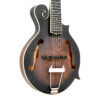 Gold Tone F-12 mando-guitar full front angle showing F-style body and solid spruce top