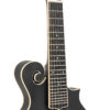 Gold Tone F-12 mando-guitar neck close-up showing radiused rosewood fingerboard and dot inlays