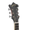 Gold Tone F-12 mando-guitar headstock front showing open gear guitar-style tuners