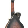Gold Tone F-6 mando-guitar back angle view highlighting maple back and sides with cream binding