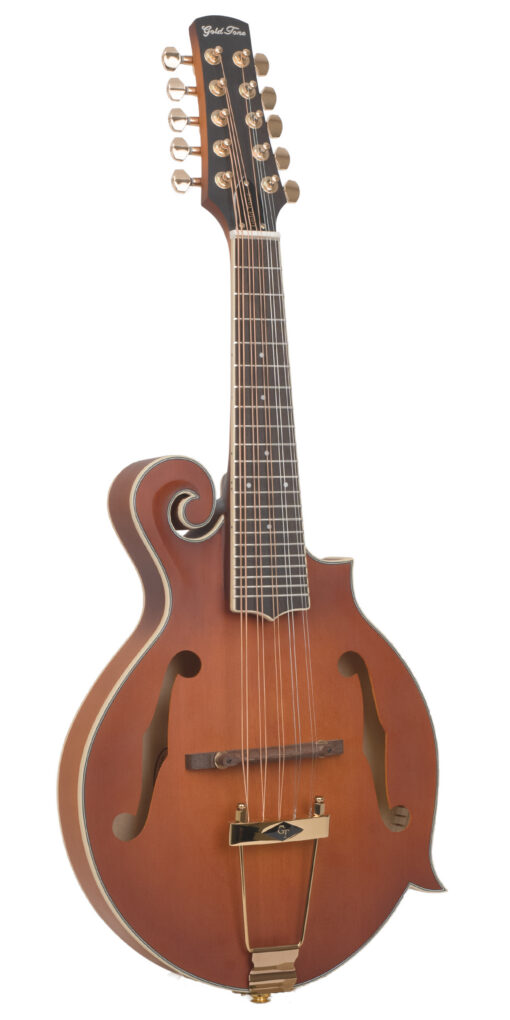 Gold Tone F-10 10-String F-Style Mandolin with Pickup and Case