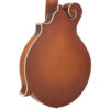 Gold Tone F-10 mandolin back angle view showing maple construction and cream ABS binding